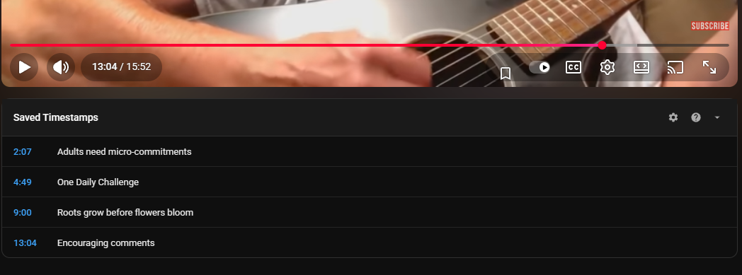 Overview showing bookmark button and saved timestamps panel
